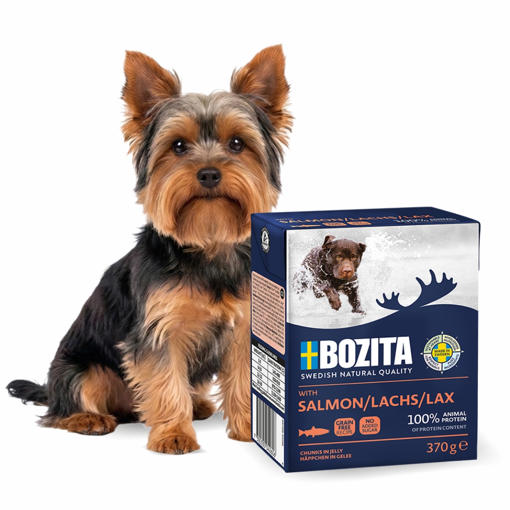 Karma Bozita łosoś w galarecie dla psa 370g mokra